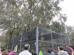 -长白岛森林公园