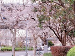 -南浦大桥长途旅游客运站