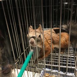 -周忆刺青原创设计定制