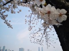 -钱江新城