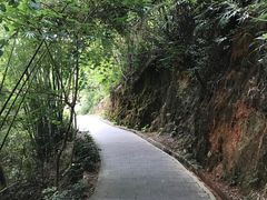 -羚羊峡古栈道森林公园