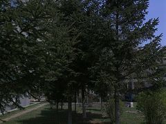 -辽宁大学(崇山校区)