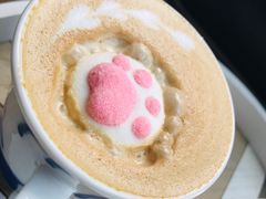 -喵屿·大理花园猫咖