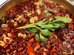 -蛙蛙鸡冷锅鱼(驷马桥店)