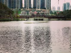-重庆彩云湖湿地公园