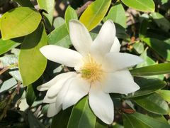 -玉水寨丽江源餐厅