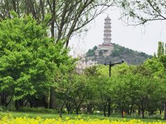 -北坞公园