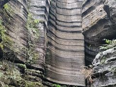 -梭布垭石林景区