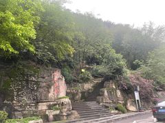 -铁山坪森林公园