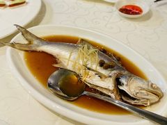 -光头匠