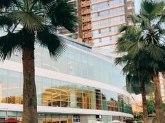-棕榈MALL