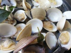 白贝-海大大蒸汽海鲜餐厅·粤菜·特色小炒(欢乐颂店)