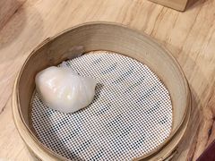 -好彩猪肚鸡(正弘城店)