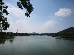 -长广溪湿地公园