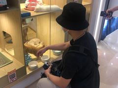 -屋虎猫馆(宝安大仟里店)