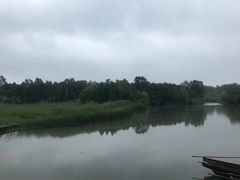 -溱湖国家湿地公园