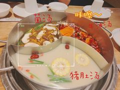 -青瓷火锅料理(西单大悦城店)