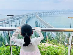 -星海湾跨海大桥