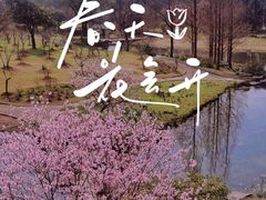 -无锡梅园公园