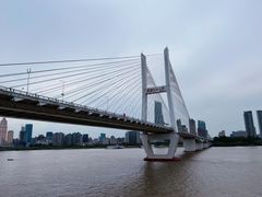 -武汉知音号