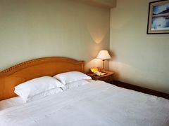 -南京维景国际大酒店(南京博物院店)