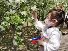 -大兴滨河森林公园