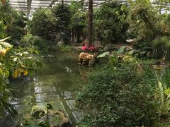 -南通洲际绿博园