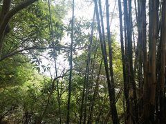 -白云山风景名胜区