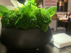 -吕氏焗小鲜•海鲜青岛菜(总店)