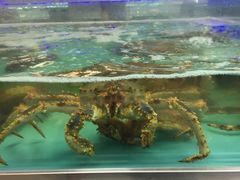 -盒马鲜生(宝地店)
