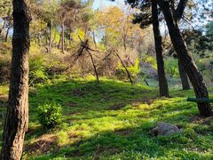 -鲁山国家森林公园