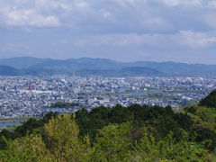 -岚山猴子公园