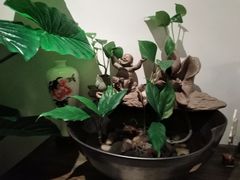 -茶油香闽南菜·花园餐厅(前埔店)
