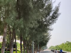 -宝安西湾红树林湿地公园