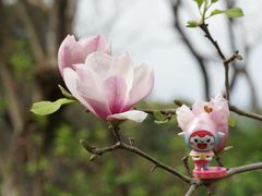 -广州市白云山风景名胜区