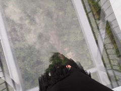 -呀诺达热带雨林