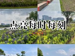 -春花秋色城市公园