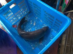 -无锡天鹏食品城