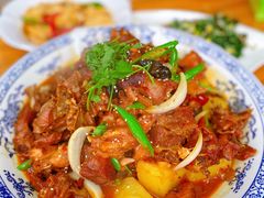 -秦岭风景区
