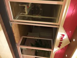 PinkBaby美甲美睫(仙乐斯店)-PinkBaby美甲美睫