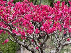 -元大都城垣遗址公园