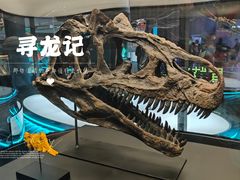 -香港科学馆