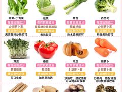 -翊宠yipet猫狗购宠庄园犬舍•猫舍