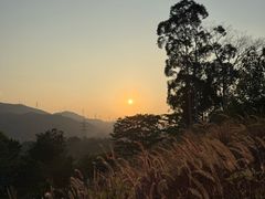 -白石龙音乐公园