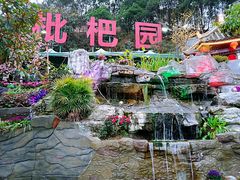 -枇杷园食为鲜火锅(南山店)