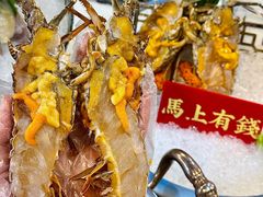 -喜聚薈·花膠雞海鮮火鍋(越秀店)