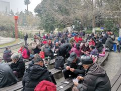 -成都市活水公园