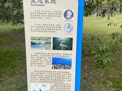 -牛岗山公园