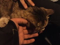 -飘香酒馆·私房菜