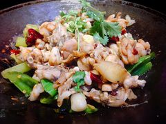 泥炉碳锅牛蛙-西街夜油条·麻团包乌饭